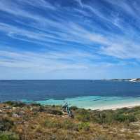 Rottnest Island Bliss