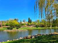 🌸 Terrace Park & Japanese Gardens – A Tranquil Oasis in Sioux Falls, South Dakota