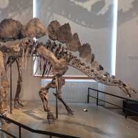 Natural History Museum of the University of Zurich: Where Science and Wonder Meet
