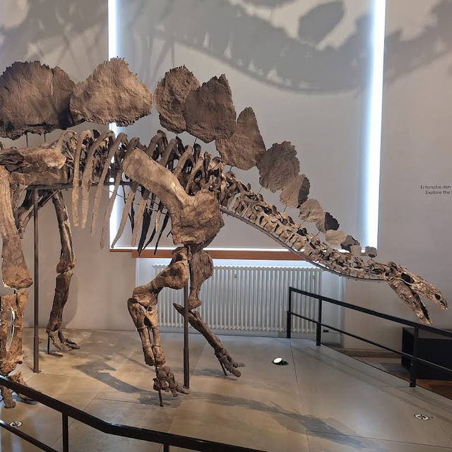 Natural History Museum of the University of Zurich: Where Science and Wonder Meet Natural History Museum of the University of Zurich: Where Science and Wonder Meet