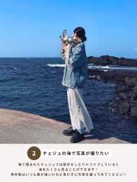 済州島でやりたいこと 7選🏝️