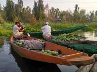 Floating Vegetable Market - Kashmir