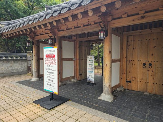 가을여행하기에 너무 좋은 경주 대릉원 가을여행하기에 너무 좋은 경주 대릉원