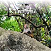 ์๋ก์ด ํ์ฝฉ์ผ๋ก ๋ ๋์! ํ์ฝฉ ํธ๋ ํน ์ฌํ ๐ญ๐ฐ