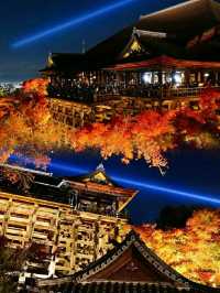 🍂 Kiyomizudera Temple – Kyoto’s Autumn Masterpiece in Crimson and Gold 🇯🇵✨