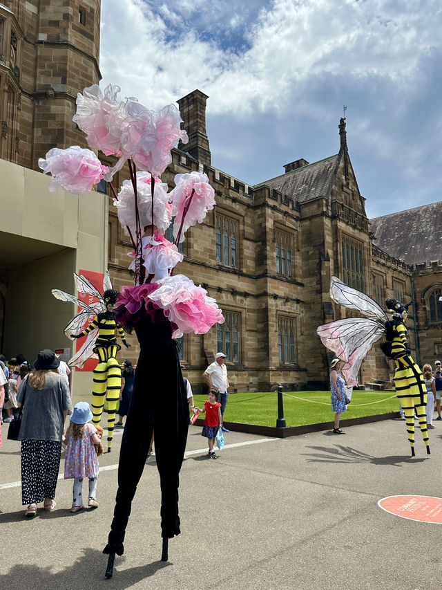 雪梨大學 - 175年的古蹟校園漫遊 📸 雪梨大學 - 175年的古蹟校園漫遊 📸