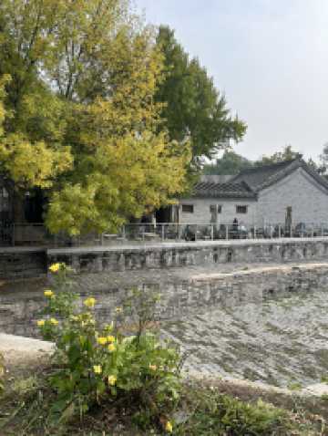 Beijing Courtyards✨  