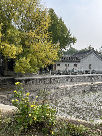 Beijing Courtyards✨  