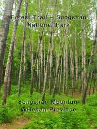 Songshan Mountain – Henan Province.