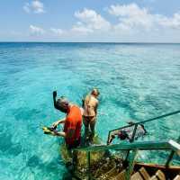 Island Bliss at Kuramathi Maldives