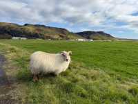 冰島必去景點分享 哈爾格林姆教堂和維克教堂