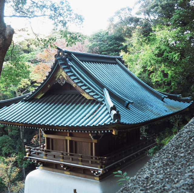  🌊 รีวิวเกาะเอโนชิมะ (Enoshima) 