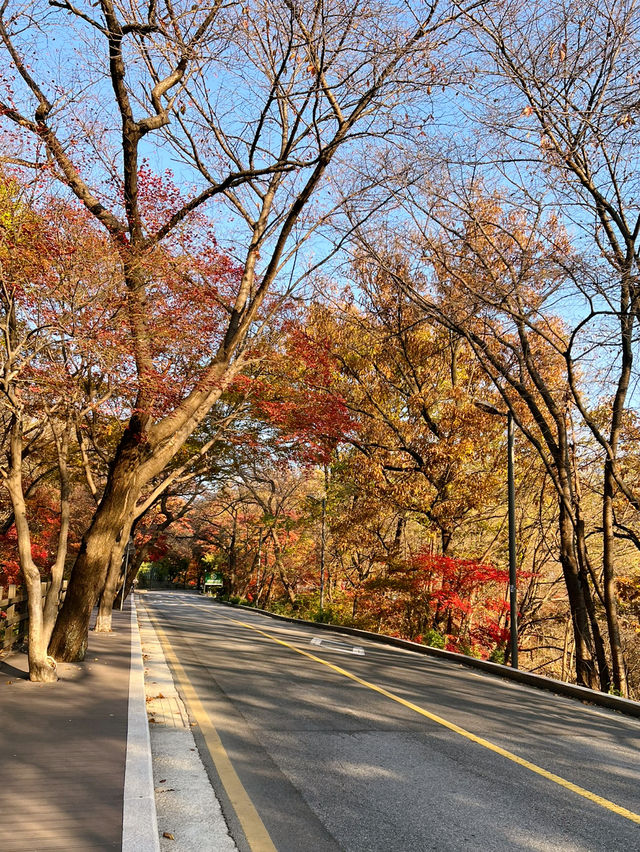 아차산과 워커힐 길을 오가며