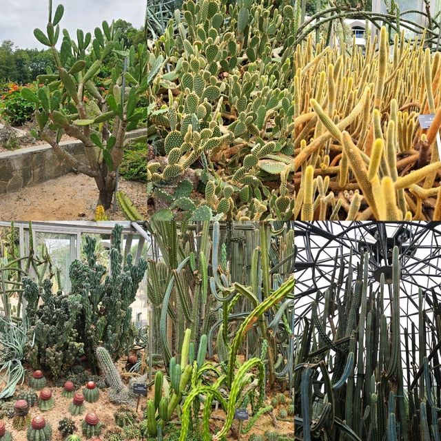 🌴🌺國家4A級旅遊景區推介🌻🪻