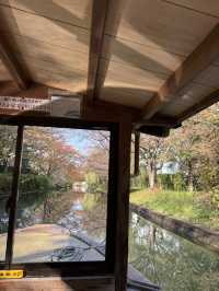 🍁 伏見十石舟:秋日泛舟,穿越時光的水上畫卷 🍂