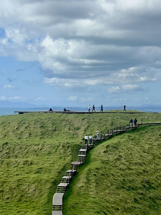 Urban Nature Spot🌳 Urban Nature Spot🌳