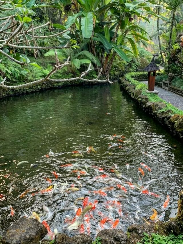 A GORGEOUS AND STUNNING RESORT IN BALI.