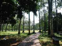 A Breath of Fresh Air: Finding Tranquility in Putrajaya’s Wetland Park