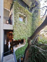 城市中的禪意淨土#🌿 菩薩寺-臺中市大里區