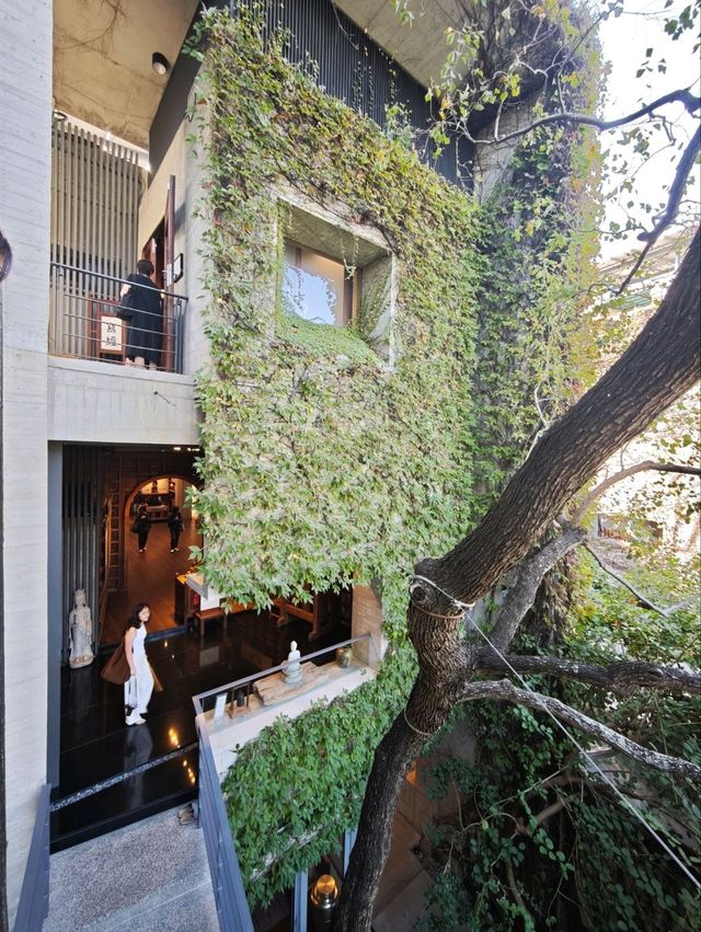 城市中的禪意淨土#🌿 菩薩寺-臺中市大里區 城市中的禪意淨土#🌿 菩薩寺-臺中市大里區