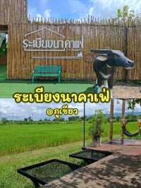 คาเฟ่บรรยากาศท้องทุ่ง @ ภูเขียว