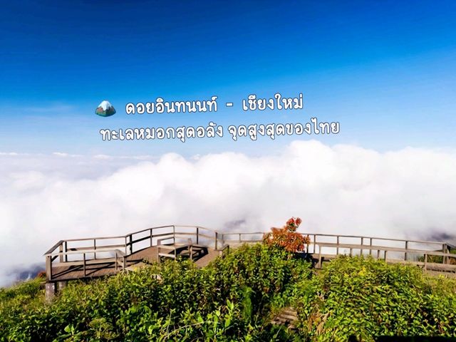 ดอยอินทนนท์—ฟินทะเลหมอกบนจุดสูงสุดของสยาม 🌤 ดอยอินทนนท์—ฟินทะเลหมอกบนจุดสูงสุดของสยาม 🌤