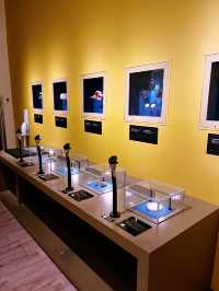 Borneo Cultures Museum: Explore the External Trade Gallery