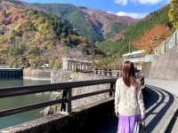 東京周邊小眾秘境｜奧多摩湖四季絕景攻略🍁