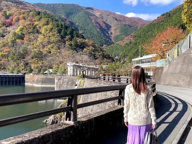 東京周邊小眾秘境｜奧多摩湖四季絕景攻略🍁