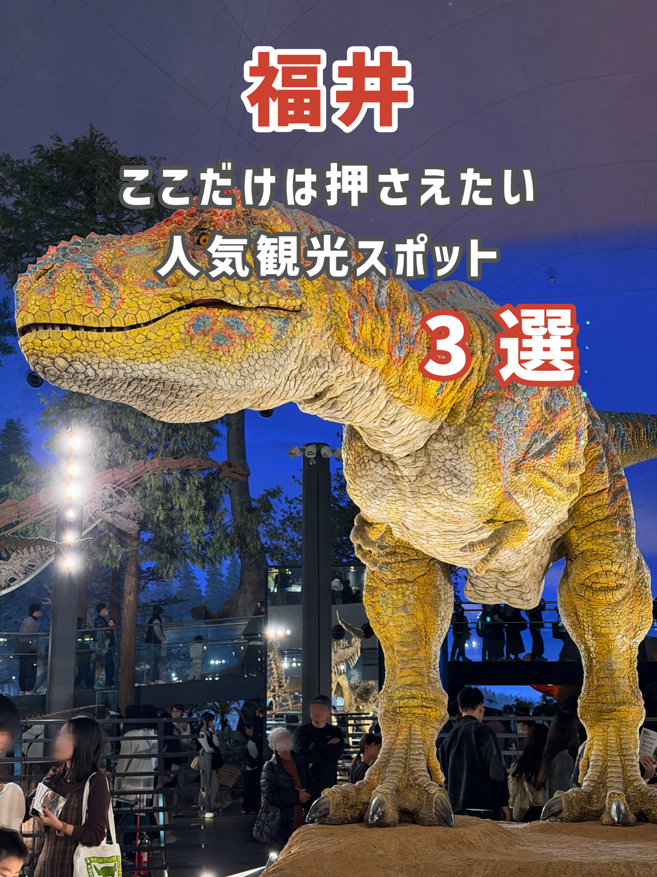 [ฟุกุอิ] รับรองไม่ผิดหวัง ✨ 3 สถานที่ท่องเที่ยวยอดนิยมในฟุกุอิ 🦖