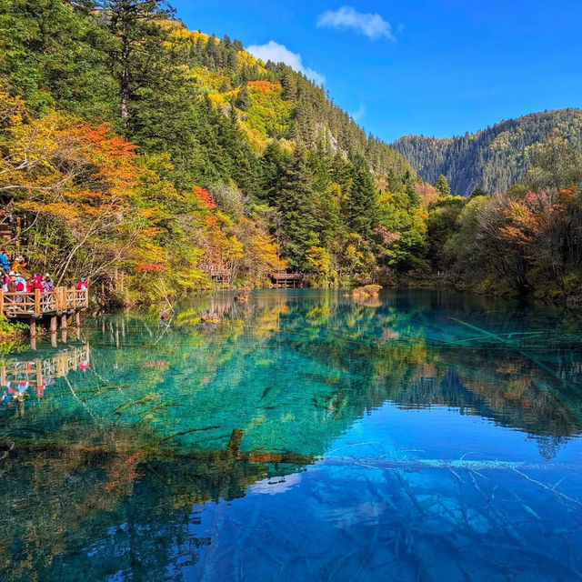 A Magical Escape at Jiuzhaigou National Park