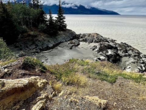 เบลูกาพอยต์