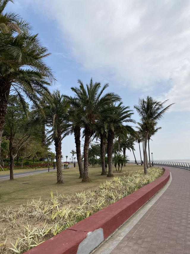 期間限定,去日月貝,別忘走上環島綠道看花海🌺🌸