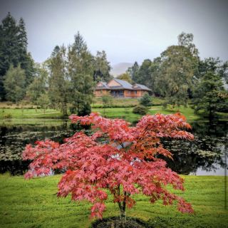 The Japanese Garden at Cowden