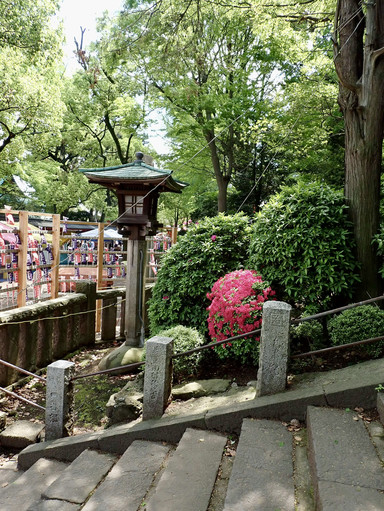 根津神社の庭園に広がる色彩の層。 | Trip.com 東京
