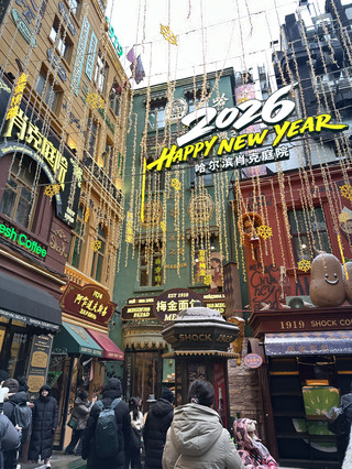 Central Street Charms🐇 at Harbin, Xiao Ke Courtyard