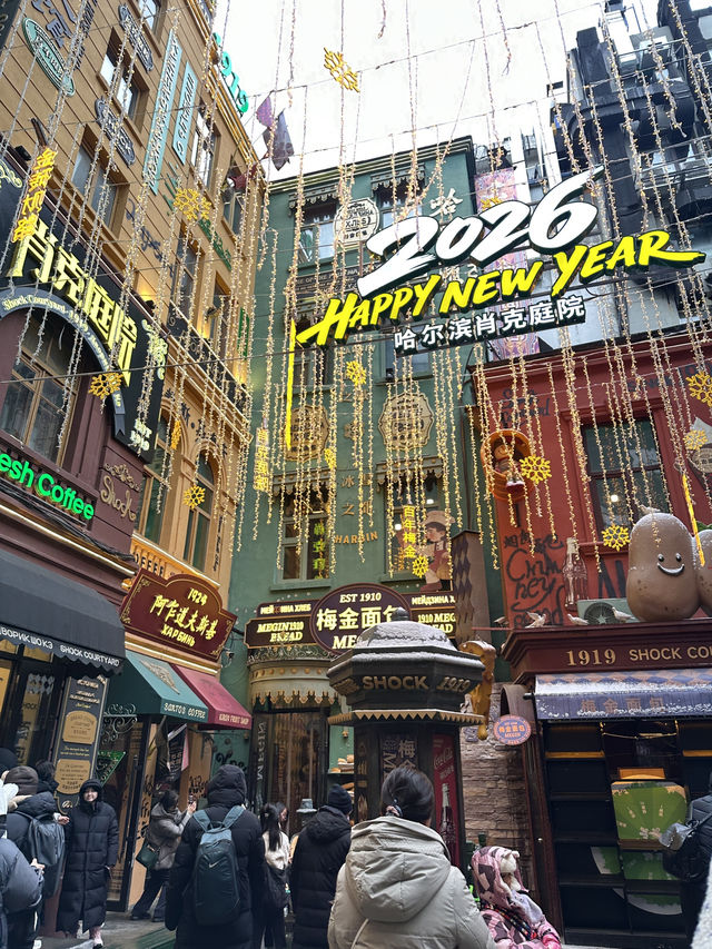 Central Street Charms🐇 at Harbin, Xiao Ke Courtyard