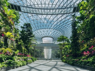 #worthitornot  

Ready for the ultimate layover adventure? Singapore Changi Airport isn’t just an airport—it’s a full-blown destination packed with lush gardens, shopping hauls, and insanely photogenic spots ✨🌴

Top Spots to Visit at Singapore Changi Airport:
🌺 Jewel Changi: Head straight to Jewel (next to Terminal 1). Snap pics of the world’s largest indoor waterfall, explore the Forest Valley, and browse through endless shops and eats. (Open 24 hours)
🌵 Butterfly Garden: Terminal 3’s butterfly sanctuary is a peaceful oasis—perfect for recharging before your flight. (6am–12am)
🍜 Foodie’s Pick: Try the food court in T3 for a mix of local Singaporean dishes; don’t miss laksa and kopi!
🛝 Entertainment Zone: Terminal 2’s entertainment deck has free movie theaters and gaming corners—awesome for longer waits.

Efficiency tip: You can get around super fast using the free Skytrain that connects all terminals. If you’re on a tight schedule, check in online before you arrive and map your stops to maximize your layover!

Travel Smart:
Transport: Hop on the airport’s Skytrain (runs every 4 minutes) or use shuttle buses if you have heavy luggage.
Money: Most places accept cards, but stash some SGD for tiny shops.
Weather: Changi is air-conditioned but keep a light layer on hand.

If you’ve got a longer transit, sneak outside—Changi’s super close to the East Coast food spots and city centre! For all the flight and lounge bookings, trip.com is your best friend.

#ChangiMagic  #SingaporeStopover  #AirportGoals  #TravelEfficiency 