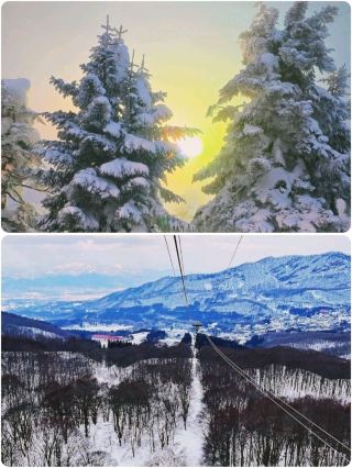 藏王雪怪－日本最神奇的冬季奇觀