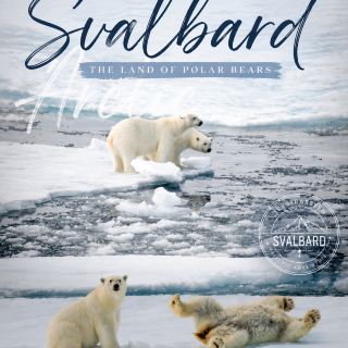 “Svalbard” 🐻‍❄️ดินแดนที่อยู่เหนือเส้นอาร์กติก และเป็นหนึ่งในไม่กี่แห่งของโลก ที่ยังสามารถพบหมีขั้