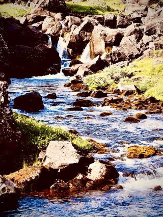 Lesotho Maloti Mountains Sehlabathebe Mossy Highland Parkeasytravelpost #Sehlabathebe #MalotiMounta