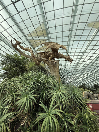 Where Flowers Meet Fantasy: A Dragon’s Eye View of Lilytopia at Flower Dome