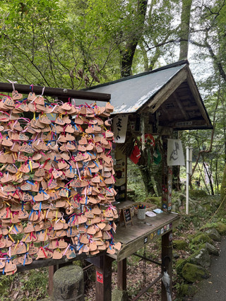 Takachiho Gorge / Miyazaki
I went to a place that's on my list of places I want to visit before I die 𓂃𓈒𓏸
It was incredibly beautiful, and the walking paths were easy to navigate, which was very healing 🫧
Getting boat tickets is seriously as difficult as getting BTS tickets, and securing a good time is extremely hard, so be careful 🫨
You can book from two weeks before the day you want to ride, and it fills up almost immediately, but I managed to get a 12:00 reservation through the waiting list! 🚣👏🏼
It costs 4100 yen for 30 minutes, and you can book even on the day, but
it seems like you often have to wait from 7:30 AM to finally get a ticket!☝🏼
This is definitely worth going!✨
Your hands will get really smelly from gripping the boat oars👃🏼
So it's a good idea to bring some nice-smelling soap.
(There's soap in the restroom, but it doesn't get rid of the smell at all.)
For hotels, I recommend Solest. The service is wonderful and the rooms are clean!
There's Takachiho Shrine nearby, so I recommend watching the Takachiho Kagura (1000 yen per person) in the evening!
Japanese God performance for 1 hour from pm8-9
I recommend it because it makes you feel even more interesting ^^
┈┈┈┈┈┈┈┈┈┈┈┈┈┈┈┈┈
Sorry, I don't know..
꼭 가보고싶었던곳𓈒𓂂𓏸
I want to know what I want to say
Time 7:30pm I'm in love with you
4100+/30+
2nd place! 2nd place!
12 years ago 12 years ago
The most beautiful thing I've ever seen
Sorry for the inconvenience 8 years old 1 year old
I want to know what I want to say
※ What do you mean? What do you mean? What do you mean?
#Takachiho Gorge #TakachihoGorge ┈┈┈┈┈┈┈┈┈┈┈┈┈┈┈┈┈
▼Takachiho Gorge
〒882-1103
Mukoyama, Takachiho-cho, Nishiusuki-gun, Miyazaki Prefecture
⏰8:30am-5pm
┈┈┈┈┈┈┈┈┈┈┈┈┈┈┈┈┈
Instagram: ar.9d
If you found this helpful, please press ˗ˏˋ Like ˎˊ˗! It would be very encouraging! ♡(•ө•) Thank you!
I also post lots of other travel information! Come and see us~~~
#MiyazakiTrip #Takachiho
#MiyazakiTrip #MiyazakiCafe #MiyazakiGourmet #MiyazakiOutingInformation #Gourmet #Cafe #Drive #Travel #SoloTravel
