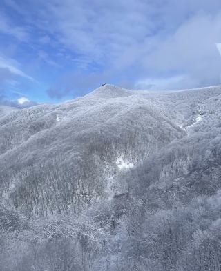 🇯🇵 日本藏王雪怪：獨一無二的冬季仙境❄️