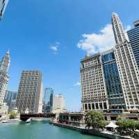 Chicago’s Urban Jungle