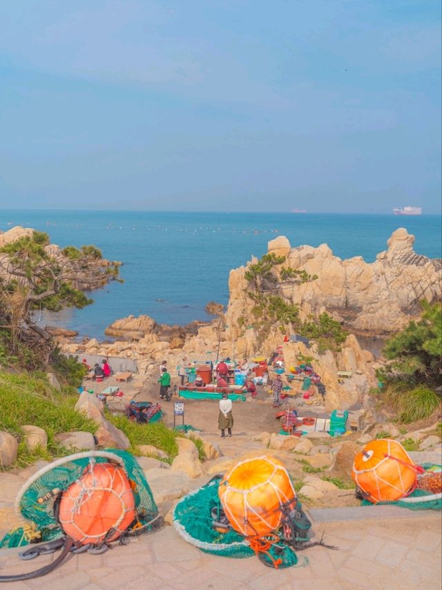 자연이 살아숨쉬는 이곳 "대왕암 공원"