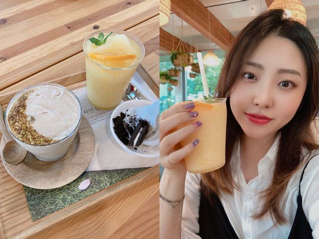 ☔️우기 시즌에 가는 제주도 실내 여행 스팟