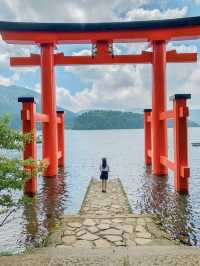 【箱根のパワースポット】フォトスポットとしで大人気の神社⛩️