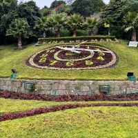 Hillside Havens, Vibrant Street Art, and Chilean Wine