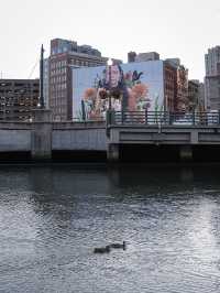 Memorial Park, Providence